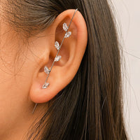 Thumbnail for Hook Earrings for Women