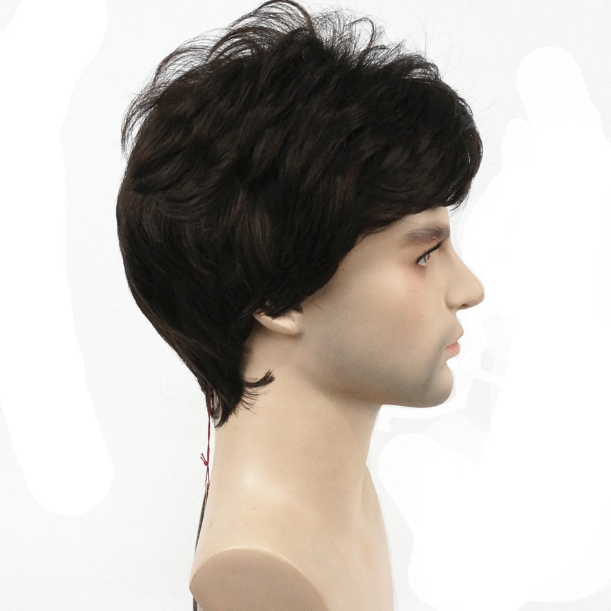 Wig Dark Brown Natural Short Straight Hair