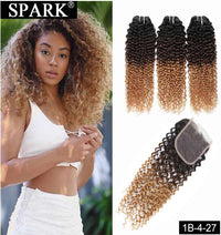 Thumbnail for Ombre Mongolian Afro Kinky Curly Hair Bundles With Closure